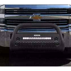 Купить Кенгурятник RC2 LR 20" Go Rhino - Ford F150 04-08