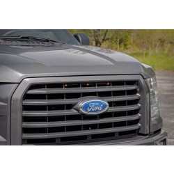 Buy Set of LED grilles Rough Country for Ford F150 15-17
