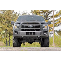 Buy Set of LED grilles Rough Country for Ford F150 15-17