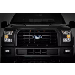 Buy Set of LED grilles Rough Country for Ford F150 15-17