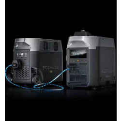 Купити Двопаливний Генератор EcoFlow Smart Generator (газ-бензин)