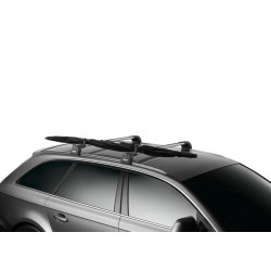 Купить Сумка для лыж Thule SkiClick Bag 729400 (TH 729400)