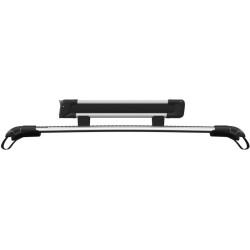Купить Крепление лыж/сноубордов Thule SnowPack M 732400 (TH 732400)