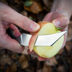 Купити Ніж Ruike FS68-B