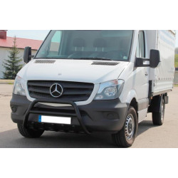 Купить Кенгурятник WT003 (черный) для Mercedes Sprinter W906 2006-2018 гг