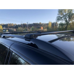 Купить Поперечины на стандартные рейлинги WingCarrier V1 (2 шт) до 110 см, Серые