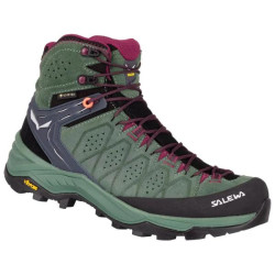 Купить Черевики Salewa WS Alp Trainer 2 Mid GTX