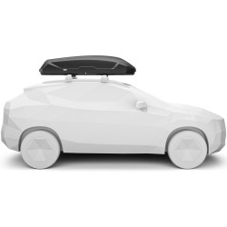 Купити Бокс Thule Pulse 2 L 610700 (TH 610700)
