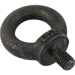 Купити Кольцо с резьбой 50829 (Eye Bolt) (TH 1500050829)