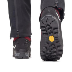 Купити Черевики Salewa Ortles Ascent MID GTX Wmn