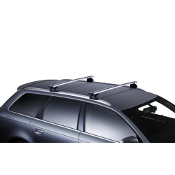 Buy The trunk in the staffing Mesta Thule Wingbar Evo Rapid for Mercedes-Benz R-Class (W251; V251) 2005-2013 (Th 7113-753-3038)