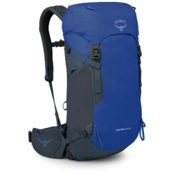 Купить Рюкзак Osprey Kestrel LT 28