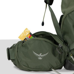 Купить Рюкзак Osprey Kestrel 38