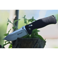 Buy Than a folding ganzo g720-b black