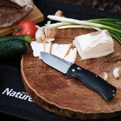 Buy Than a folding ganzo g720-b black