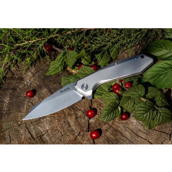 Купить Ніж складаний Ruike P135-SF