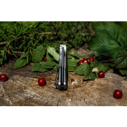 Купить Ніж складаний Ruike P135-SF