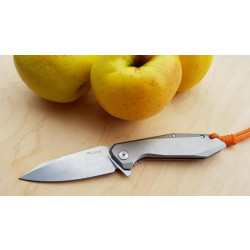 Купить Ніж складаний Ruike P135-SF