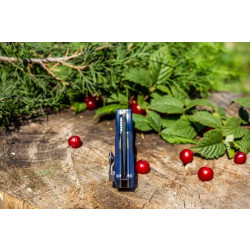 Buy Than a compound Ruike Fang P105-K