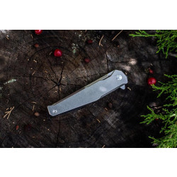 Buy Than a folding Ruike P108-SF