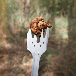 Купить Компактний набір для барбекю Roxon S601 металевий