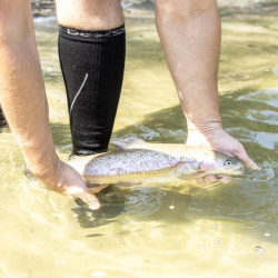 Купить Шкарпетки водонепроникні Dexshell Compression Mudder, р-р S, сірі