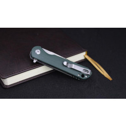 Buy Than a complex Firebird FH41S-GB