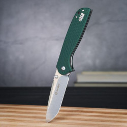 Купить Ніж складний Ganzo G6803 зелений