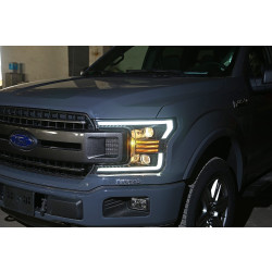 Buy Ford Ford F150 2018-2020 Pro Series Black Alparex Axhl-FF18-PTS-B-A