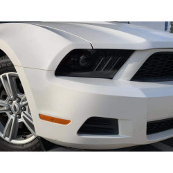 Buy Ford Mustang Ford 2010-2014 Pro Series Carbon-Black Alpharex Axhl-FM10-PPTS-LB