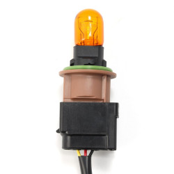 Buy Ford Raptor 2017-2020 Converters Alpharex Axhl-FF15-Rpt-CVT-2PC