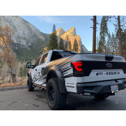 Купити Задні фари Ford F150 2015-2020 LED PRO серія вуглево-чорні AlphaRex ATL-FF15-W-LBS