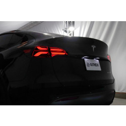 Buy Tesla Model y 2020-2022 LED PRO series carbon-black Alpharex ATL-TS317-W-LBS