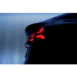 Buy Tesla Model y 2020-2022 LED PRO series carbon-black Alpharex ATL-TS317-W-LBS