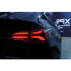 Buy Tesla Model y 2021-2022 LED PRO series Red Alpharex Atl-TS317-G2-R-RS