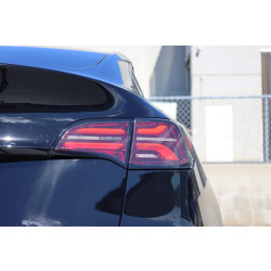 Buy Tesla Model y 2021-2022 LED PRO series Red Alpharex Atl-TS317-G2-R-RS