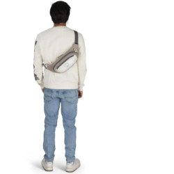 Купить Поясна сумка Osprey Daylite Waist