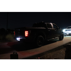 Купити Задні фари Ford F150 2021+ LED LUXX серія чорні AlphaRex RTL-FF21-SA-YW-BS