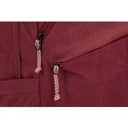 Купить Рюкзак Thule Indago Backpack 23L (New Maroon) (TH 3204923)