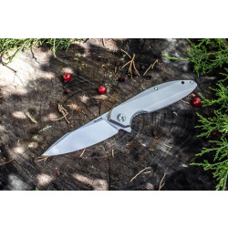 Buy Than a folding Ruike P128-SF