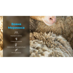 Купити Шкарпетки водонепроникні Dexshell Compression Mudder, р-р L, сірі