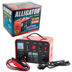 Buy ALLIGATOR 12/24V, 20A battery charger