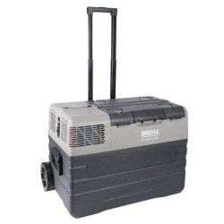 Buy Refrigerator Automobile Brevia 42l 22750