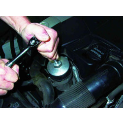 Buy The mascot of the oil Filter "Cup" 14/86 mm (Force 6318614)