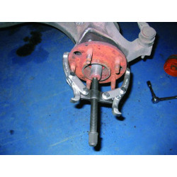 Buy 2-paw pads (40-76 mm) (Force 6590103)