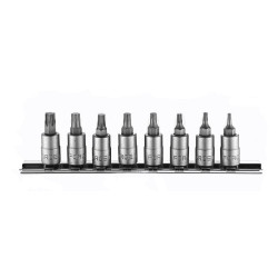 Buy 1/4 "set of Golovko-Bit Torx 8 BC (T8-T40) (Force 20812)