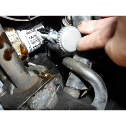 Buy Filter Filter Filter Land D = 65-110 mm (Force 61910)