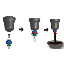 Buy Plum Belly Glosser (VW) (Force 61925)