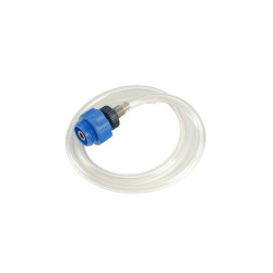Buy Plum Belly Glosser (VW) (Force 61925)