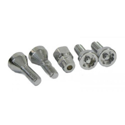 Buy Secrets set for casting disks 5 pr., L = 21 mm (m12 x 1.5rh) (Force 645105)